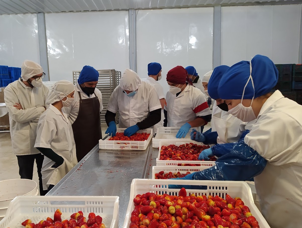 Línea de proceso en instalaciones Casa Blanca